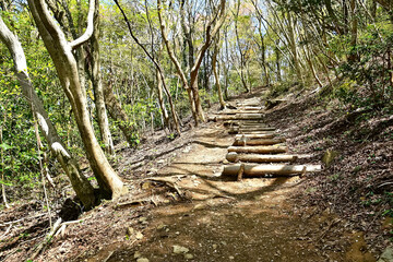 トレッキングのイメージ