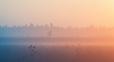 Fototapeta premium A minimalist composition with a focus on a cluster of vibrant against a soft, muted background creates a serene scene