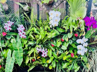 vertikal mini garden at home