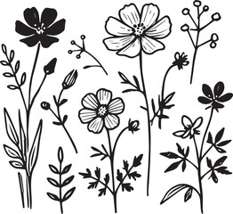 Flowers vector illustration ib black and white