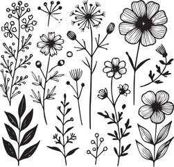 Flowers vector illustration ib black and white
