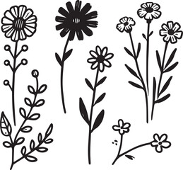 Flowers vector illustration ib black and white