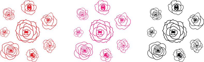 Rose flower set of blooming plant. Garden rose isolated icon of red, pink and black petal for romantic floral decoration, wedding bouquet and valentine greeting card flat and line vector collection.
