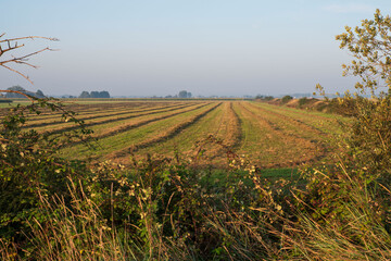 Obraz premium Cultivated fields with trees and surrounding nature in Normandy, France