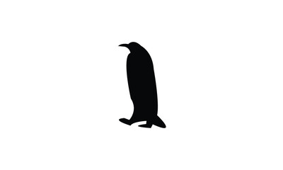 Penguin Bird Silhouette Design  And Vector Illustration. 