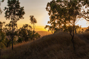 Obraz premium A sunrise view over the Australian Outback, with silhouettes of hardy trees and shrubs, capturing the essence of a new day. 