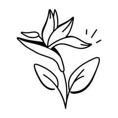 Hand drawn icon of paradise plant 

