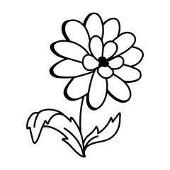Dahlia flower icon in doodle style 
