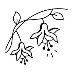 A hand drawn icon of fuchsia flower 
