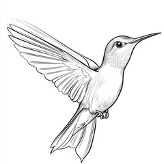 Obraz premium Hummingbird in Flight: A Black and White Masterpiece