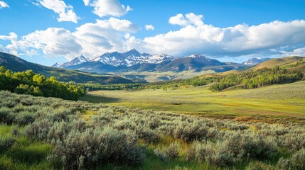 Obraz premium Breathtaking mountain landscape with vibrant green fields, shrubs, trees, and snow-capped peaks under a blue sky with fluffy clouds.