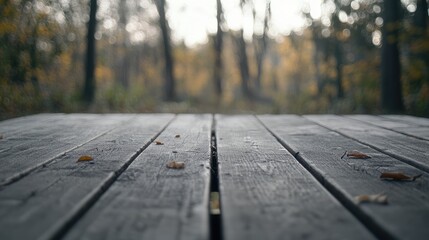 Fototapeta premium Wooden Table Surface with Soft Bokeh Background in Autumn Forest Setting
