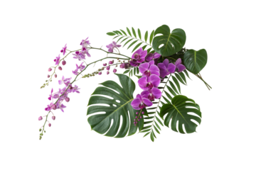 A harmonious design of vibrant purple orchids with tropical monstera and fern leaves, showcasing natural elegance and tropical beauty, isolated on a transparent background