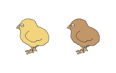 かわいい色違いのひよこ