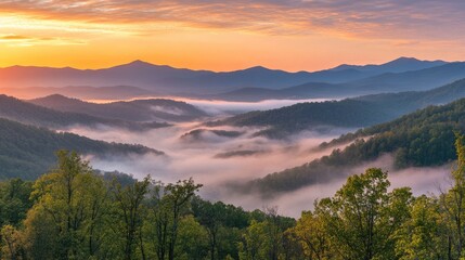 Obraz premium Serene sunset landscape illuminating mist-shrouded mountains with lush green foliage in the foreground and vibrant sky hues at dusk