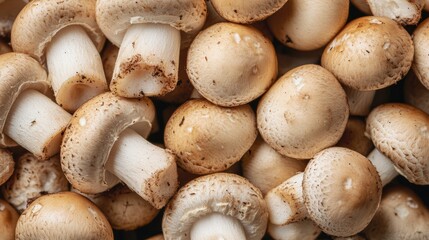 Closeup of Fresh Mushrooms in Nature with Selective Focus Showcasing Natural Textures and Organic Details