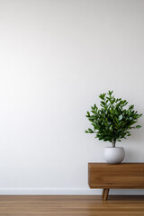 Minimalist interior design featuring a wooden drawer and a potted plant against a blank wall