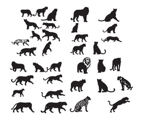 Wild Tiger Silhouette Graphic Vector