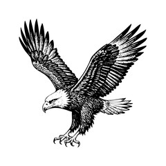eagle flying in the sky sketch engraving black and white outline. Scratch board imitation.

