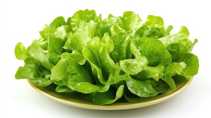 Freshly Harvested Green Lettuce Salad Served on a Yellow Plate Isolated on White Background