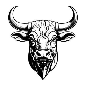 recommend clip art: bull portrait sketch engraving black and white outline. Scratch board imitation.