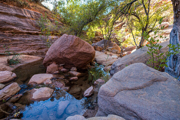 Hiking along Pine Creek on a beautiful autumn afternoon at Zion National Park.