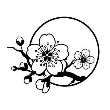 black and white cherry blossom branch clip art preview