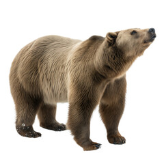 Obraz premium Arctodus AI Generated Image