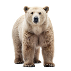 Arctodus AI Generated Image