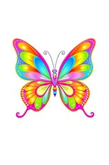 Vibrant rainbow butterfly illustration.