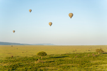 Hot air balloons flying over the Serengeti at sunrise in Tanzania, Africa