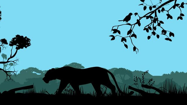 Silhouette of walking leopard in the jungle animation cartoon