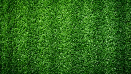 Fototapeta premium Green grass texture for sport background. Detailed pattern of green soccer field or football field grass lawn texture. Green lawn texture background.