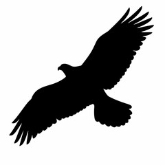 A black eagle is flying in the sky. The bird is in the air and has its wings spread out