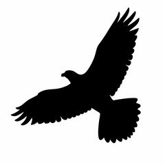 A black eagle is flying in the sky. The bird is in the air and has its wings spread out