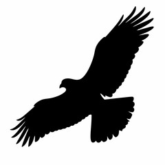 A black eagle is flying in the sky. The bird is in the air and has its wings spread out