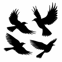 Fototapeta premium Four birds flying in the sky. They are all black. The birds are in different positions. One is in the middle, and the other three are on the right side