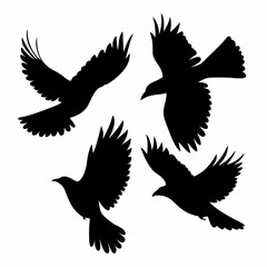 Obraz premium Four birds flying in the sky. They are all black. The birds are in different positions. One is in the middle, and the other three are on the right side