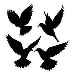 Obraz premium Four birds flying in the sky. They are all black. The birds are in different positions. One is in the middle, and the other three are on the right side