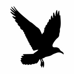 A black bird with white feathers flying in the air. The bird is in the middle of the image