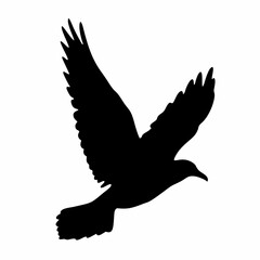 A black bird with white feathers flying in the air. The bird is in the middle of the image