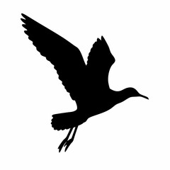 A black bird with white feathers flying in the air. The bird is in the middle of the image