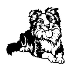 Border Collie Dog Breed - Pet Vector Cut file, Dog Silhouette Stencil - Cricut file