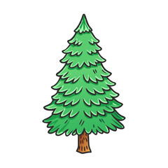 douglas fir tree vector icon, trees vector illustration - simple illustration of douglas fir tree perfect for logos, and trees-themed designs.