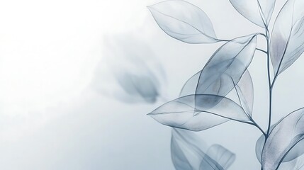 Delicate translucent leaves on a slender stem gracefully sway