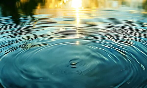 Capture a high-definition video of water ripples forming gentle patterns in a pond, with reflections of soft light in shades of blue and gold