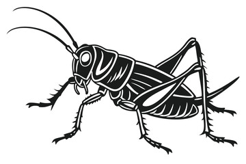 black color line art Grasshopper Silhouette white background G.eps