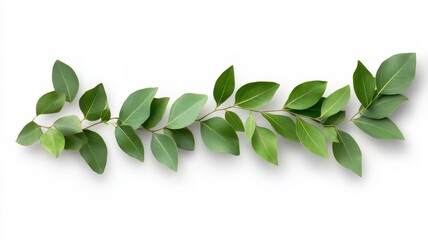 Elegant Decorative Green Foliage Frame for Nature-Inspired Designs and Creative Projects