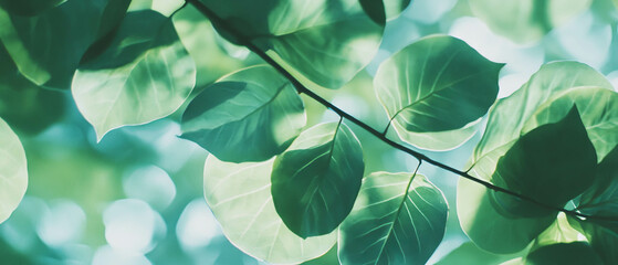Light green leaf texture showcasing nature's vibrant beauty and organic freshness