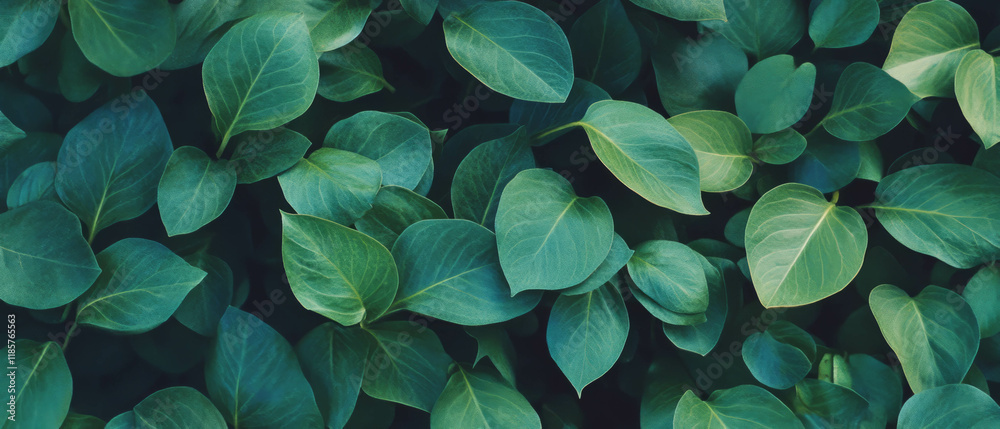 Aufkleber fresh green leaf pattern creating a natural and organic background for design and decor